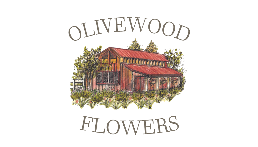 OLIVEWOOD FLOWERS logo